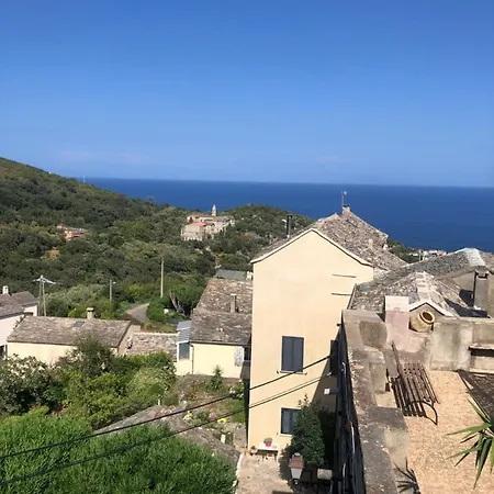 Monte Stello Brando
